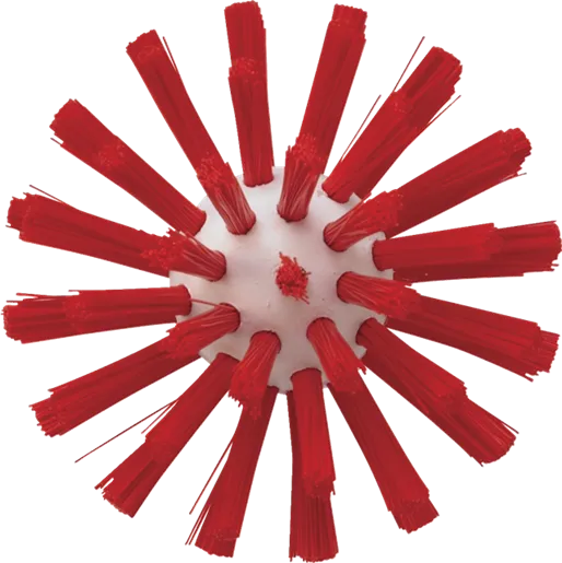 Optimized WebP image