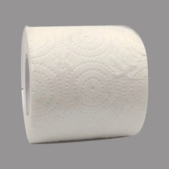 Toilet Paper 3Ply 210sht x 48