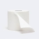 Toilet Paper 3Ply 210sht x 48