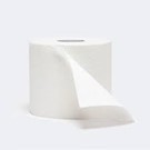 Toilet Paper 3Ply 210sheets x 48 rolls