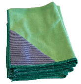 Touchpoint Microfibre Antibacterial Green Cloth 1 pce