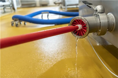 Optimized WebP image