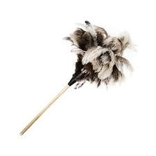 Duster Ostrich Feather