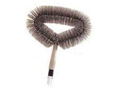 Cobweb Brush Pulex